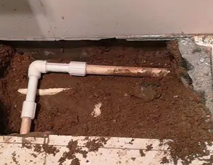 肇庆测漏水哪家好