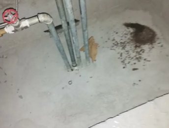 肇庆卫生间测漏水价格明细