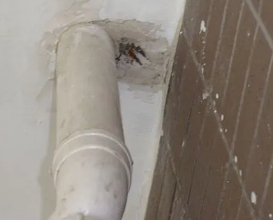 肇庆漏水检测哪家好